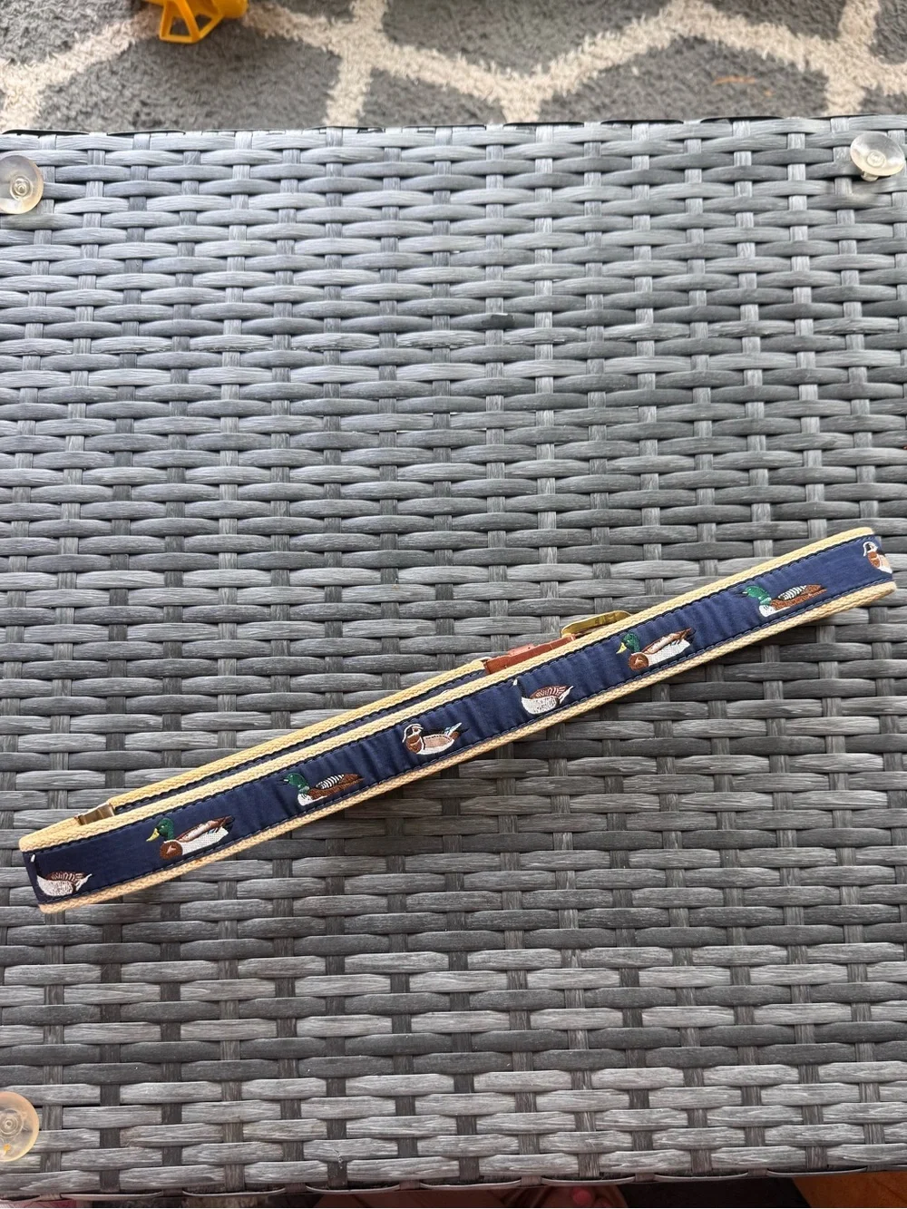 Vintage Waterfowl Belt